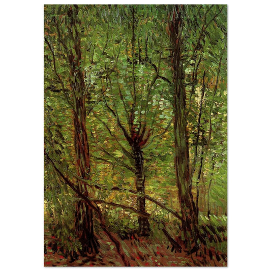 Trees and Undergrowth - Vincent van Gogh Brushed Aluminum Print - 70x100 cm / 28x40 inches | Vincent van Gogh Aluminum Print | Vincent van Gogh Prints