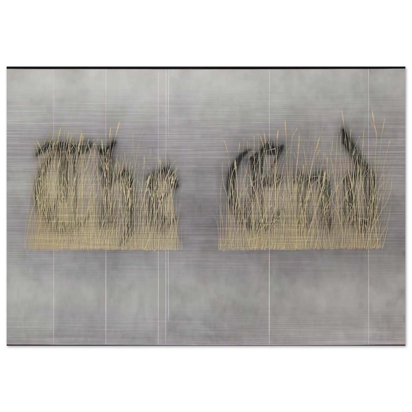 1fbeeae4-8da1-430d-bcb8-f78e2ac8e2a0