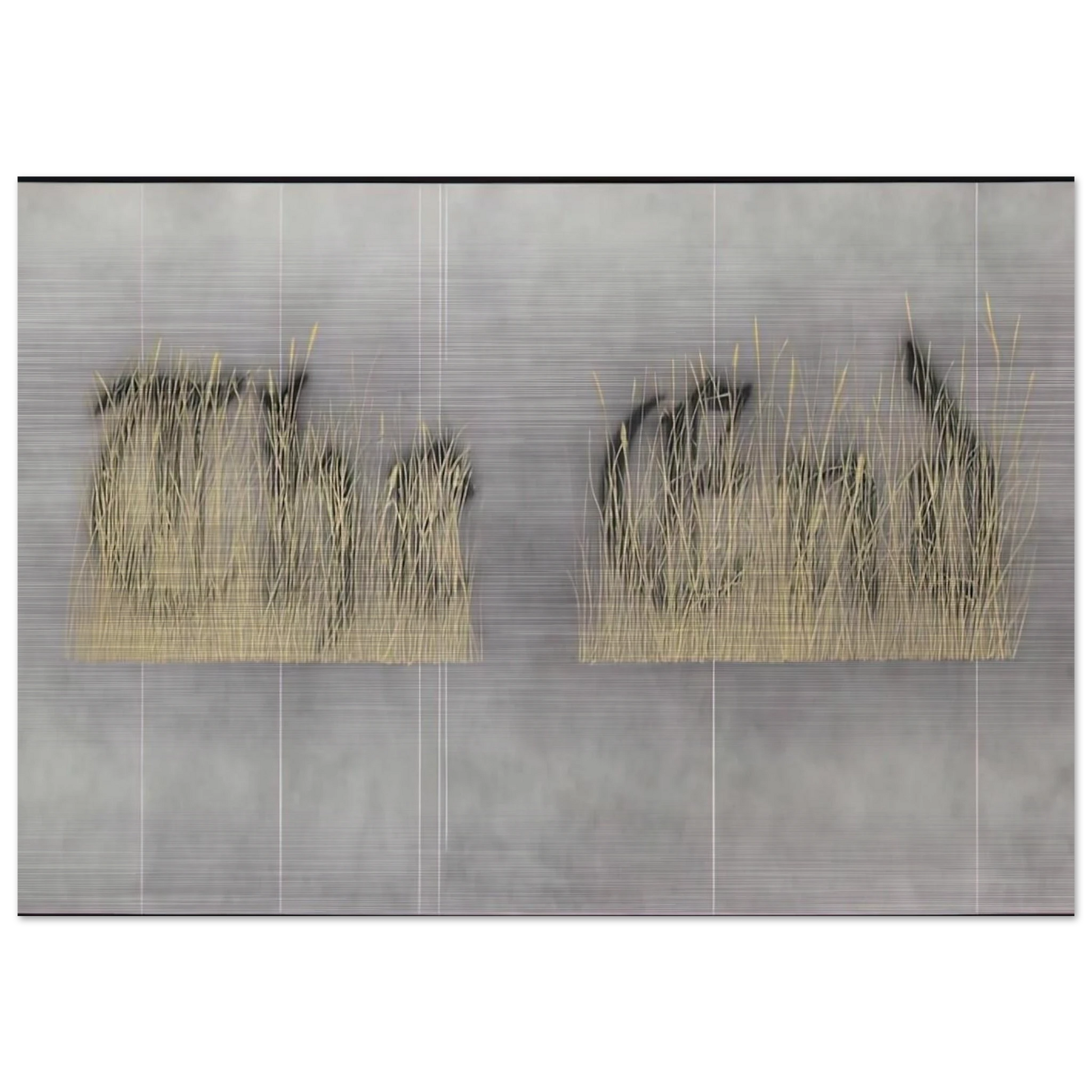 1fbeeae4-8da1-430d-bcb8-f78e2ac8e2a0