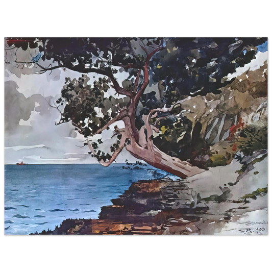 Winslow Homer - NORTH ROAD BERMUDA Fine Art Poster - Default Title