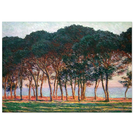 Under the Pine Trees at the End of the Day - claude monet Brushed Aluminum Print - 70x100 cm / 28x40 inches | claude monet Aluminum Print | claude monet Prints