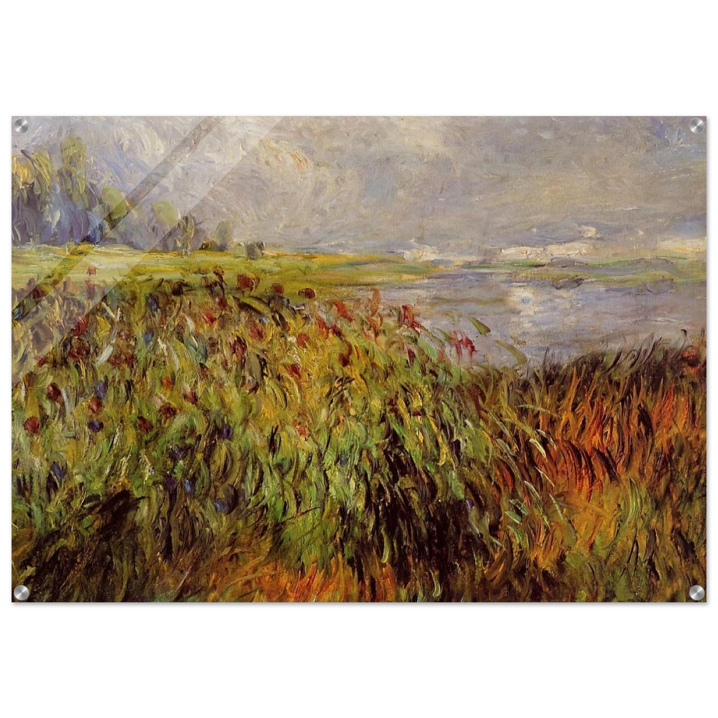 Bulrushes on the Banks of the Seine - Pierre-Auguste Renoir Acrylic Print - 70x100 cm / 28x40″ inches | Pierre-Auguste Renoir Wall Art | Pierre-Auguste Renoir Prints