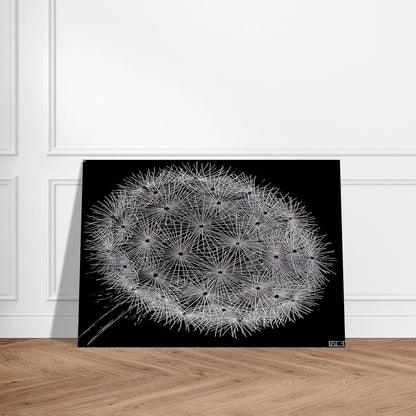 20d1d9d9-1230-4b1a-8a1c-24adf08bf135