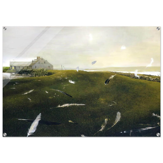 AIRBORNE - Andrew Wyeth Acrylic Print - 70x100 cm / 28x40″ inches
