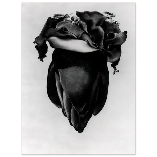 Georgia O'Keeffe - Banana Flower Fine Art Poster - 13x18 cm / 5x7 inches