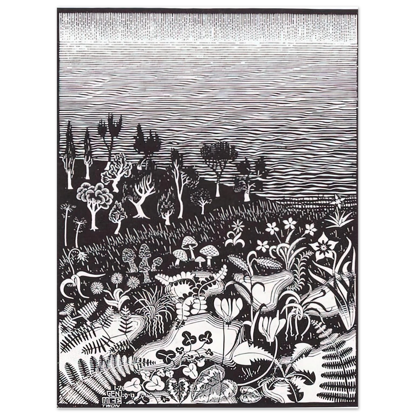 MC Escher - THE 3RD DAY OF THE CREATION Wall Art - 21x29.7 cm / 8x12" - Fine Art Poster - -