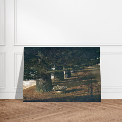 230a62bf-6af5-41d7-bfed-a4ece13f9ec6