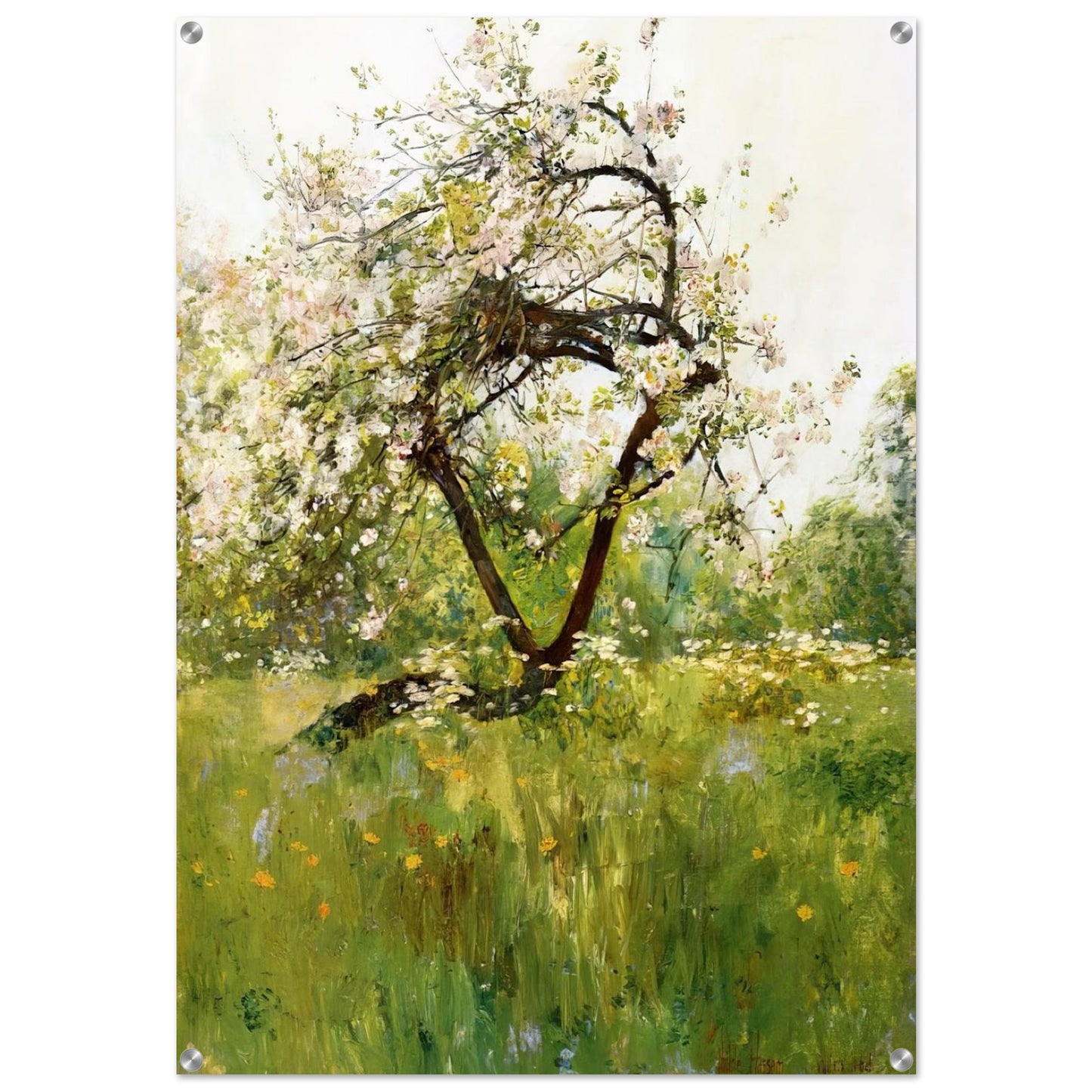 Peach Blossoms - Villiers-le-Bel - Childe Hassam Acrylic Print - 70x100 cm / 28x40″ inches | Childe Hassam Wall Art | Childe Hassam Prints
