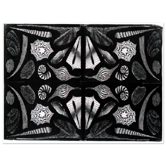 MC Escher - ESCHER (5) Wall Art - 21x29.7 cm / 8x12" - Fine Art Poster - -