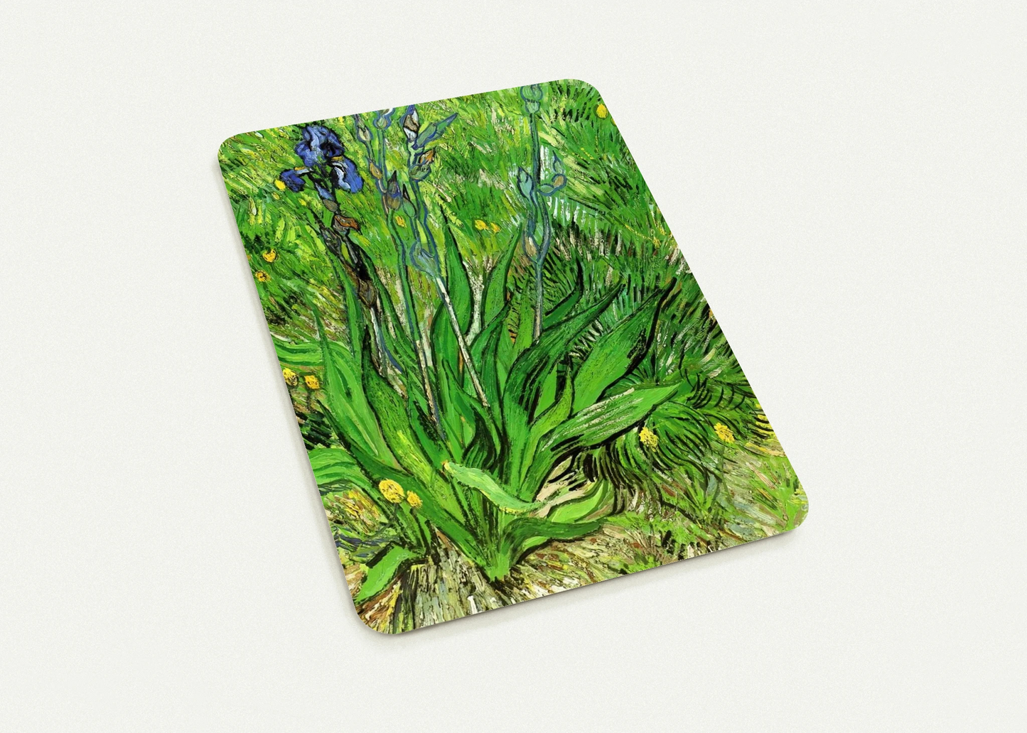 246d16f6-625f-46dd-84e9-213f3ff9ca30