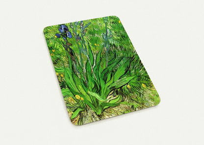 246d16f6-625f-46dd-84e9-213f3ff9ca30