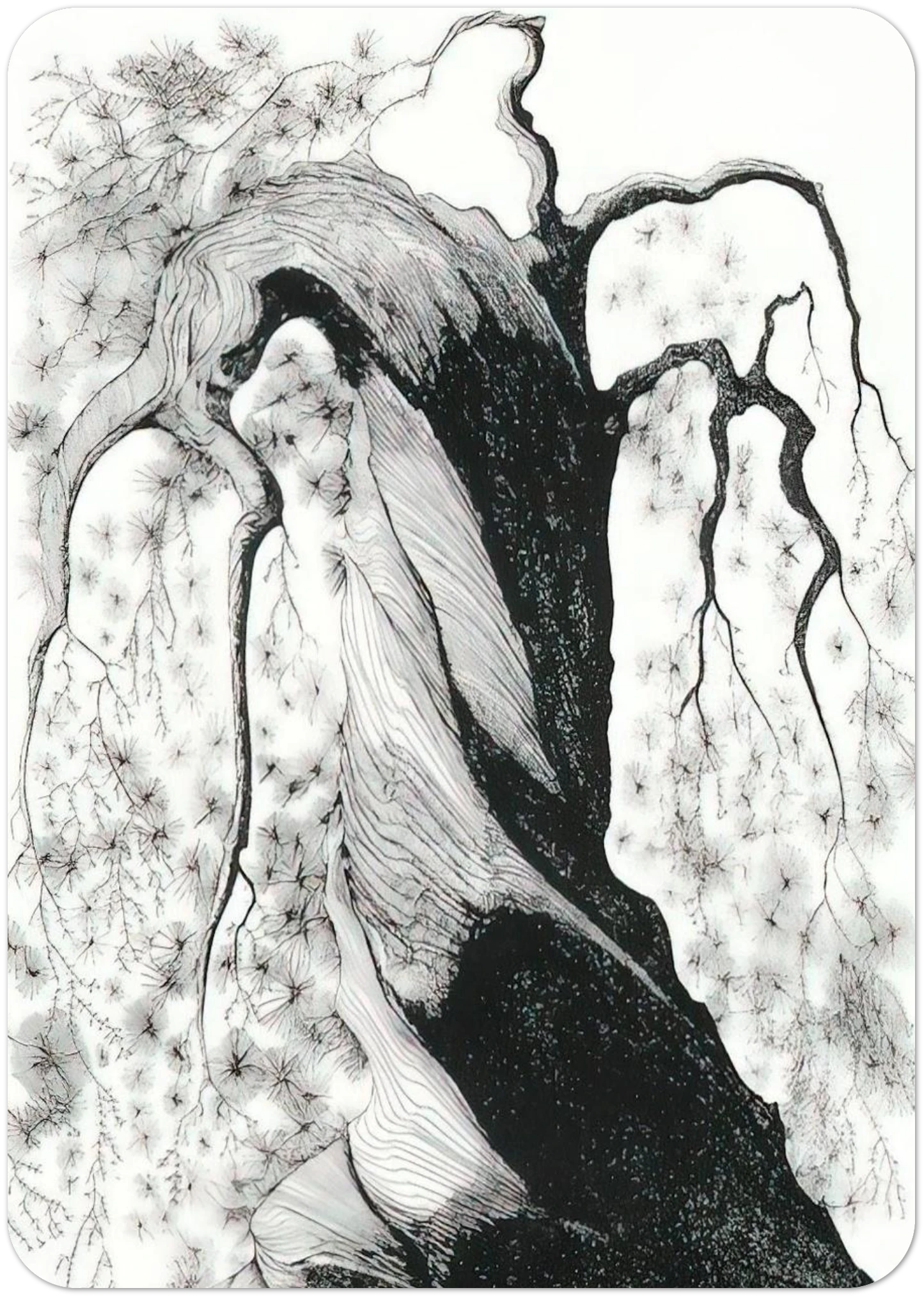 Pine Tree By Eyvind Earle Pack of 10 Post Cards | Eyvind Earle Post Cards | A6 (10.5 x 14.8 cm) - 4.1 x 5.8 inches