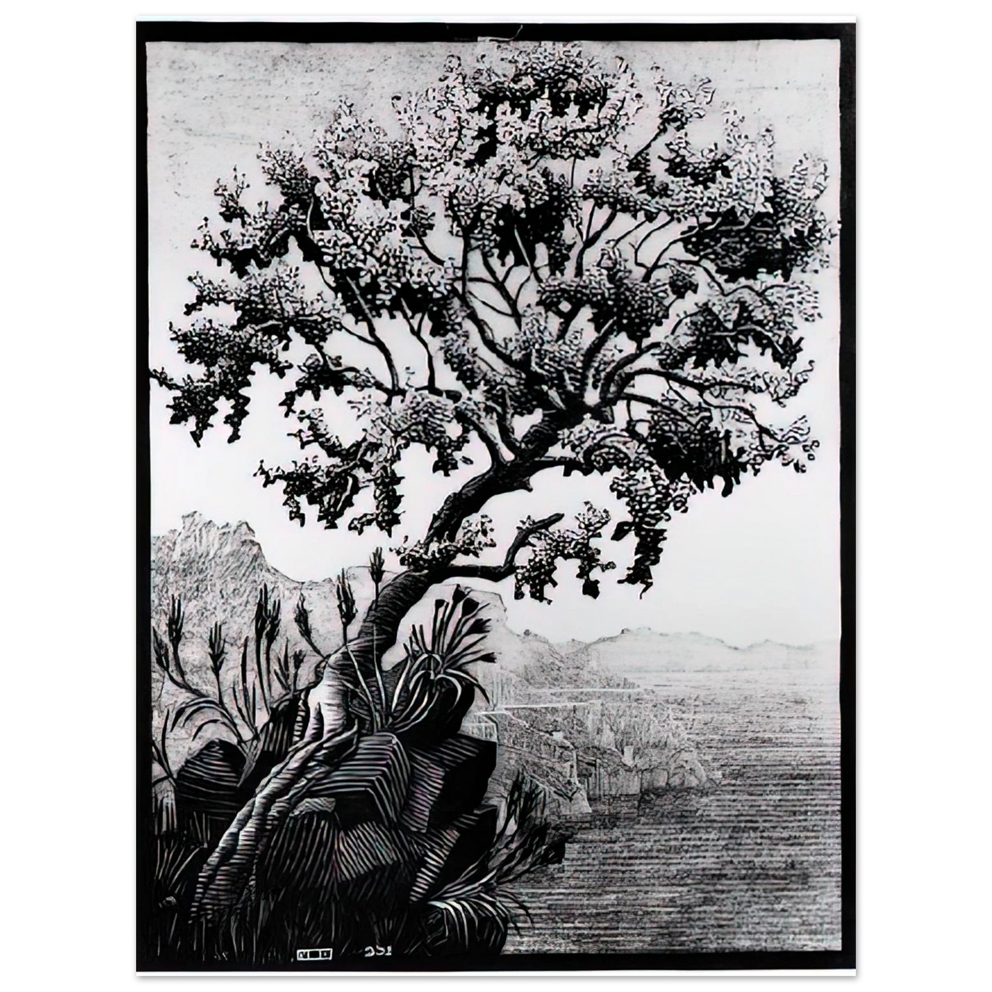 MC Escher - ESCHER (14) Wall Art - 21x29.7 cm / 8x12" - Fine Art Poster - -