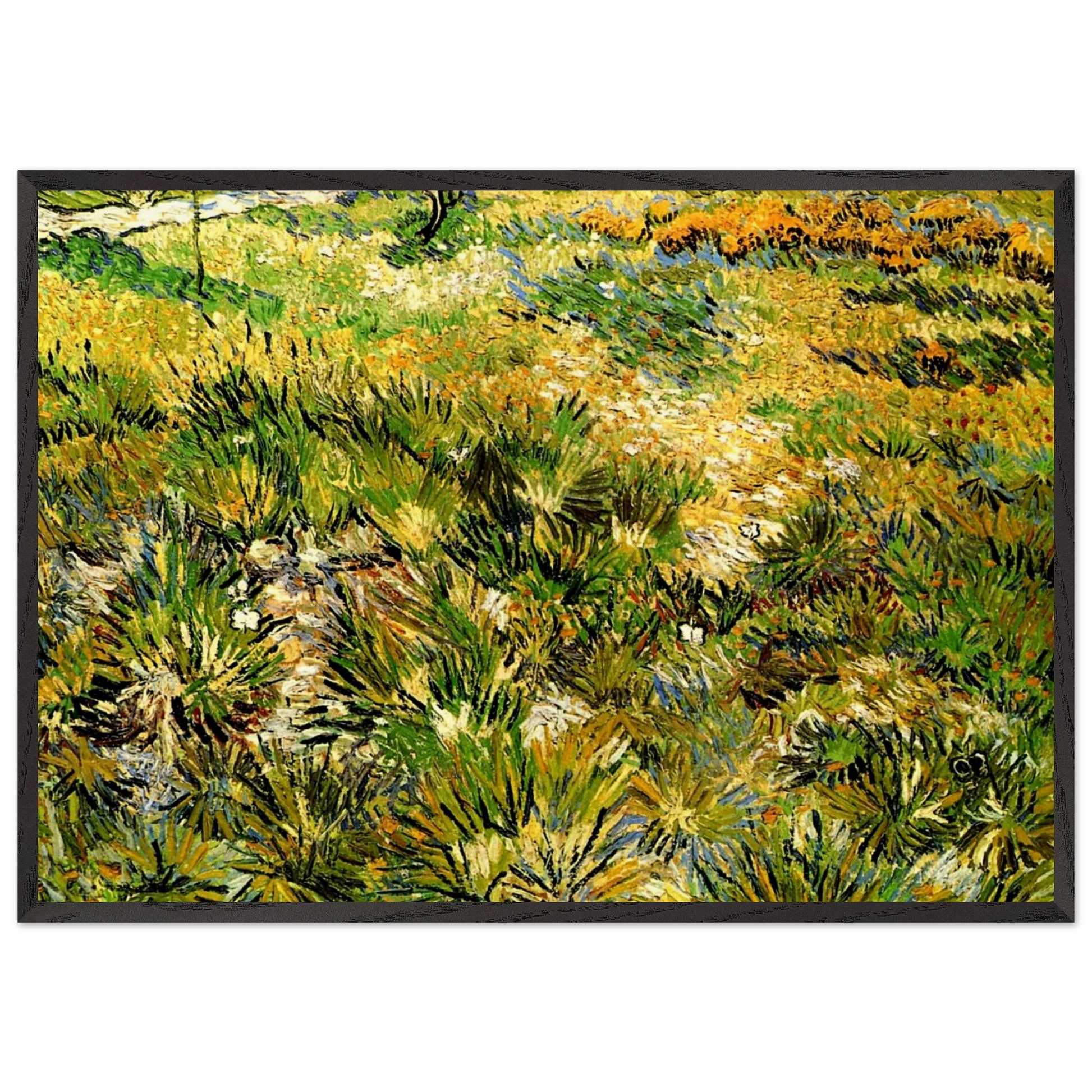 Meadow in the Garden of Saint-Paul Hospital - Vincent van Gogh Framed Art Print – Black Wooden Frame - Default Title - -Framed Art Print