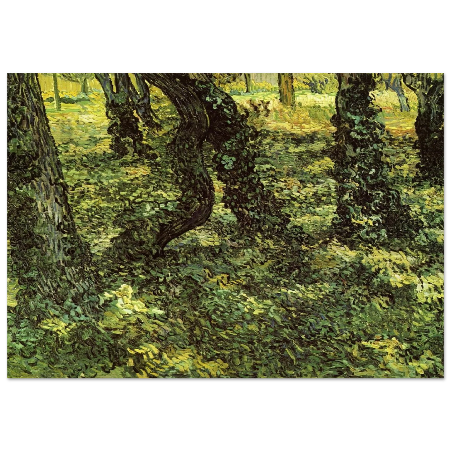 Trunks of Trees with Ivy - Vincent van Gogh Brushed Aluminum Print - 70x100 cm / 28x40 inches | Vincent van Gogh Aluminum Print | Vincent van Gogh Prints