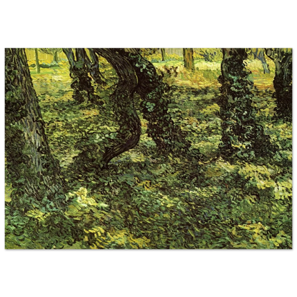 Trunks of Trees with Ivy - Vincent van Gogh Brushed Aluminum Print - 70x100 cm / 28x40 inches | Vincent van Gogh Aluminum Print | Vincent van Gogh Prints