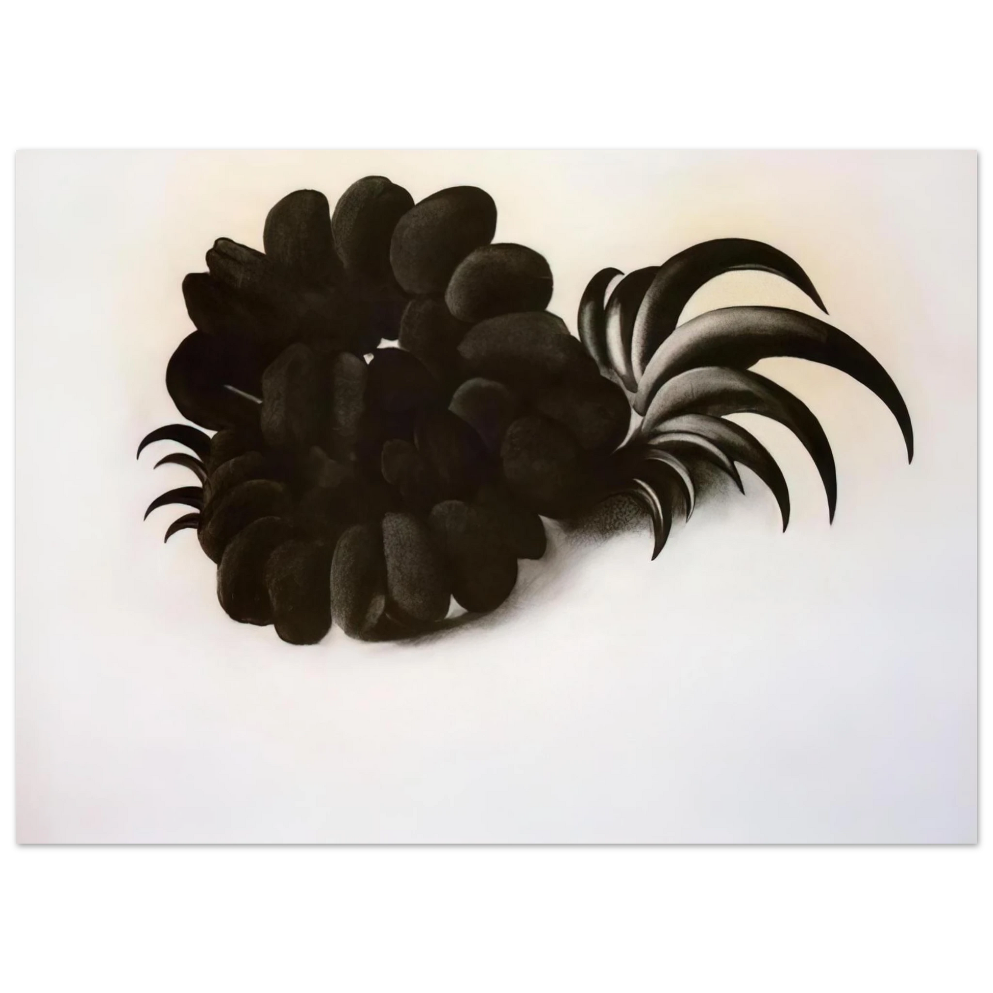 Georgia O'Keeffe - Eagle Claw and Bean Necklace Fine Art Poster - 75x100 cm / 30x40 inches