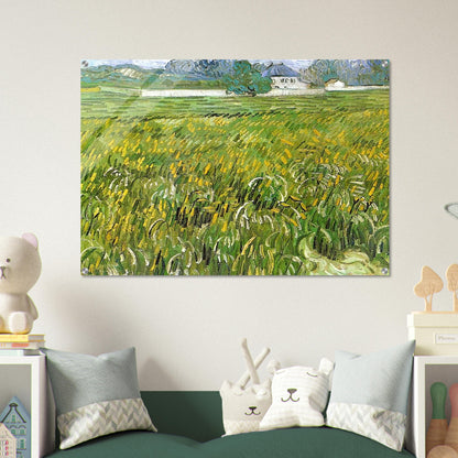 Wheat Field at Auvers with White House - Vincent van Gogh Acrylic Print - 70x100 cm / 28x40″ inches