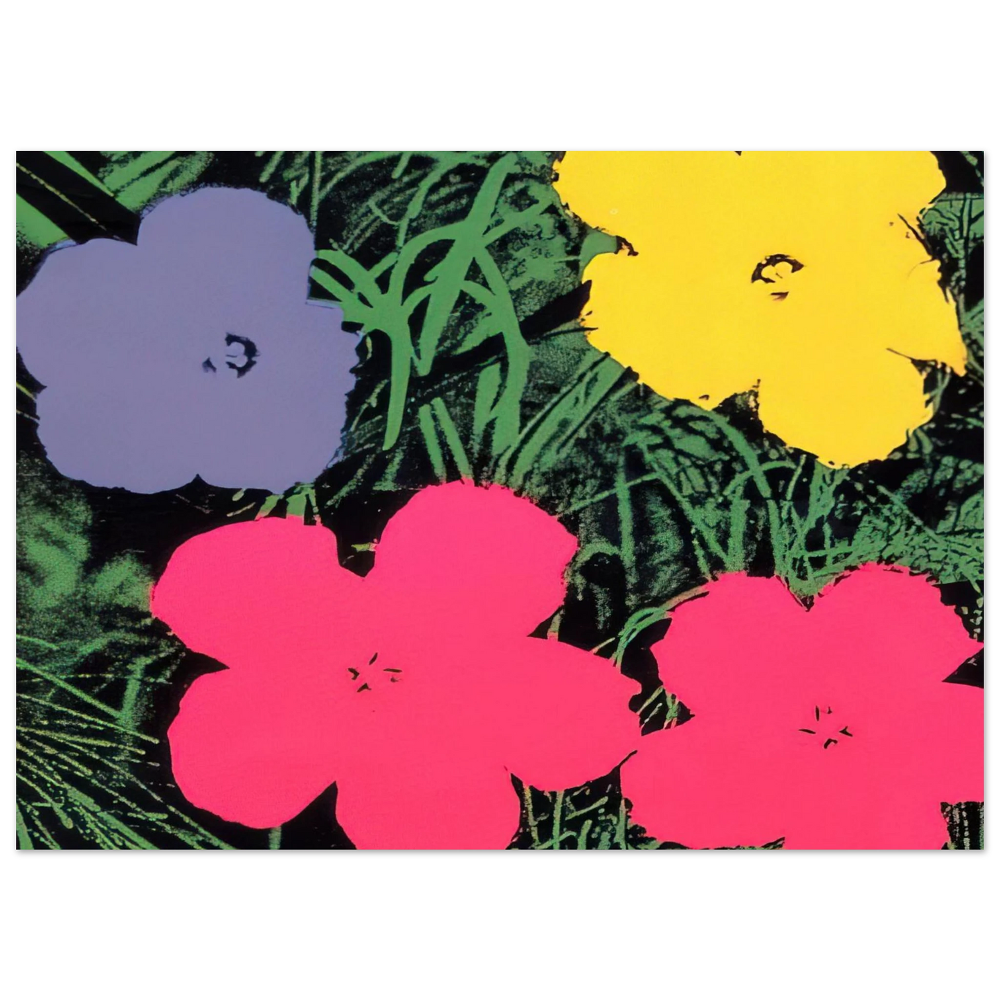 Andy Warhol - Flowers Fine Art Poster - 40x60 cm / 16x24 inches