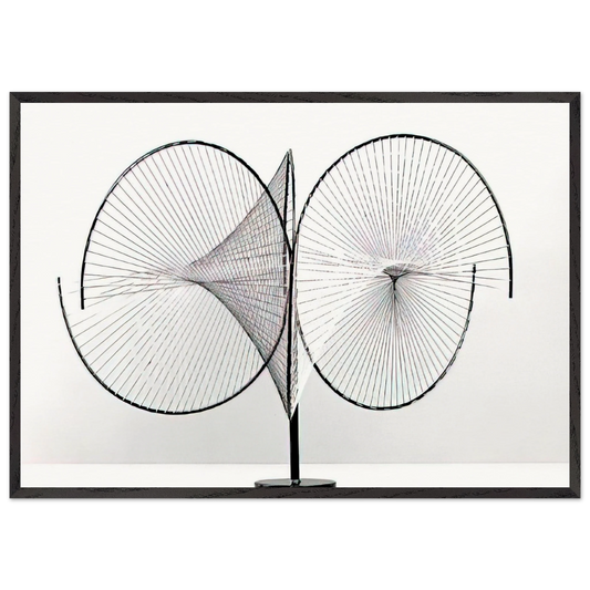 Hyperbolic surfaces - 1959 - Tomas Maldonado Framed Art Print – Black Wooden Frame - Default Title - -Framed Art Print