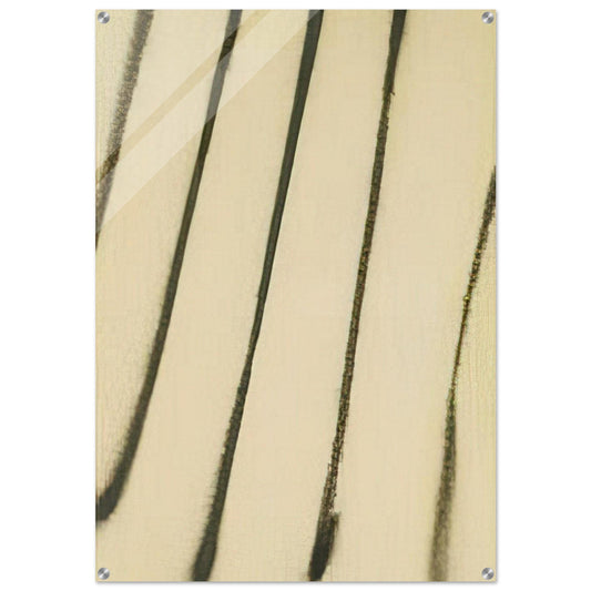 65-s-10 - 1965 - Martin Barre Acrylic Print - 70x100 cm / 28x40″ inches | Martin Barre Wall Art | Martin Barre Prints