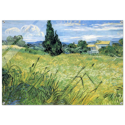 Green Wheat Field with Cypress - Vincent van Gogh Acrylic Print - 70x100 cm / 28x40″ inches