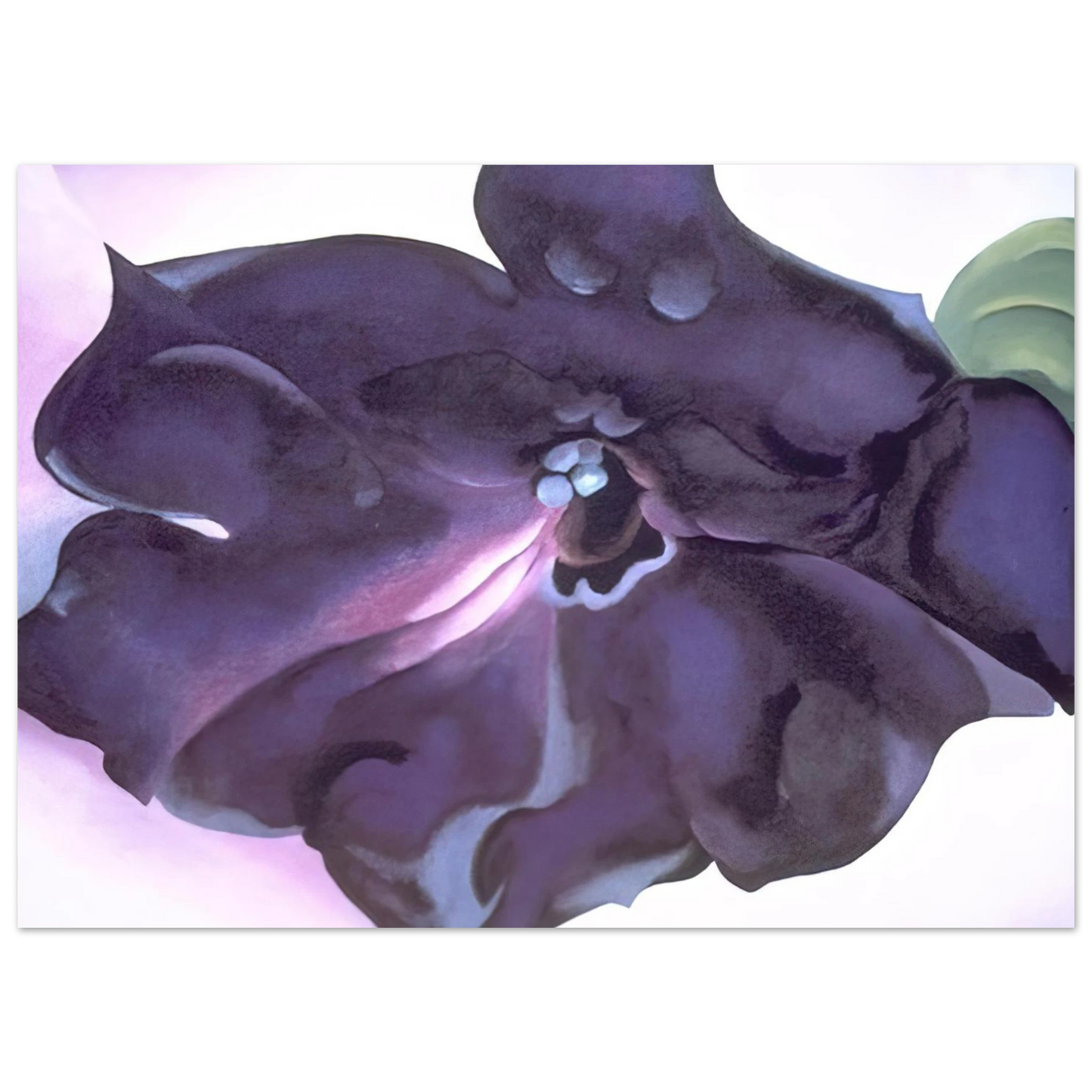 Georgia O'Keeffe - Petunia Fine Art Poster - 75x100 cm / 30x40 inches