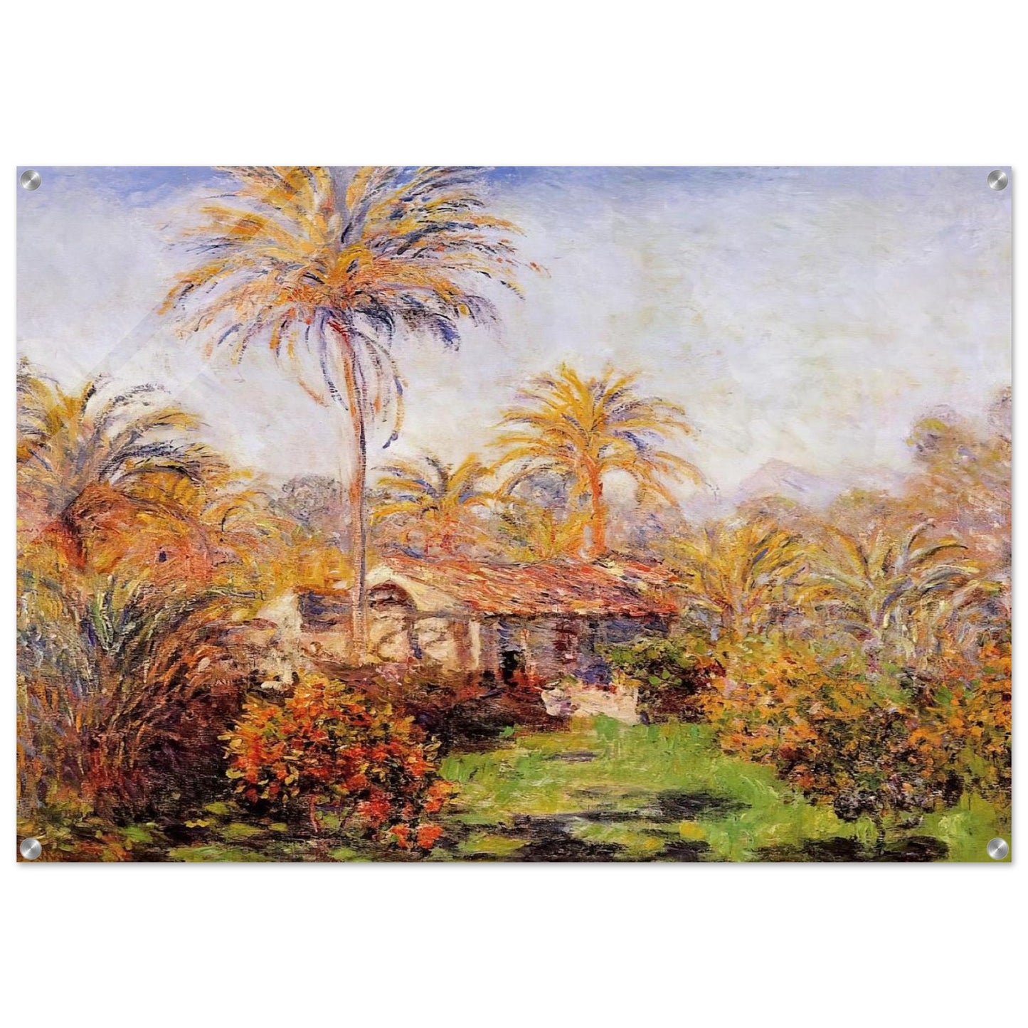 Small Country Farm in Bordighera - claude monet Acrylic Print - 70x100 cm / 28x40″ inches