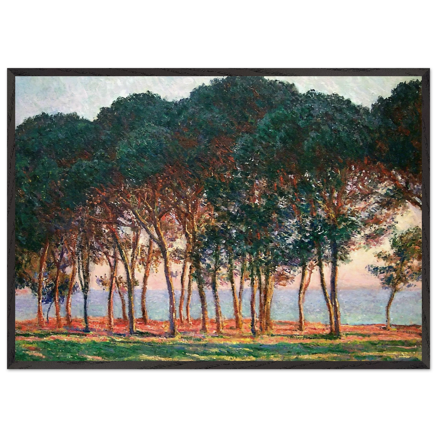 Under the Pine Trees at the End of the Day - claude monet Framed Art Print – Black Wooden Frame - Default Title - -Framed Art Print