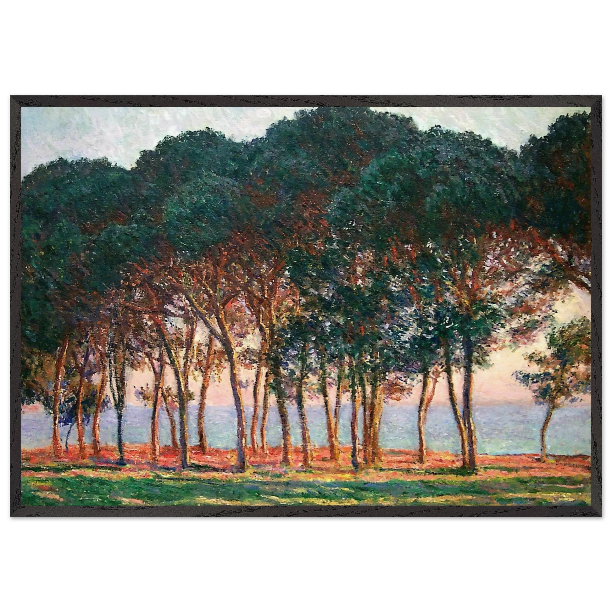 Under the Pine Trees at the End of the Day - claude monet Framed Art Print – Black Wooden Frame - Default Title - -Framed Art Print