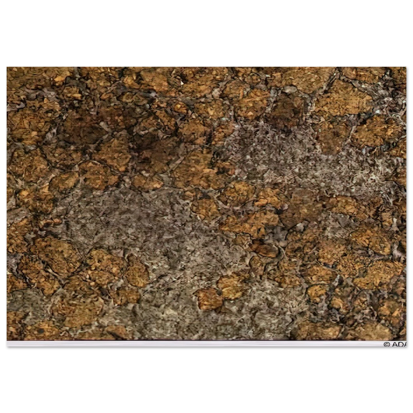 298cd8a0-8d8c-4e1d-bd38-768c363ad568