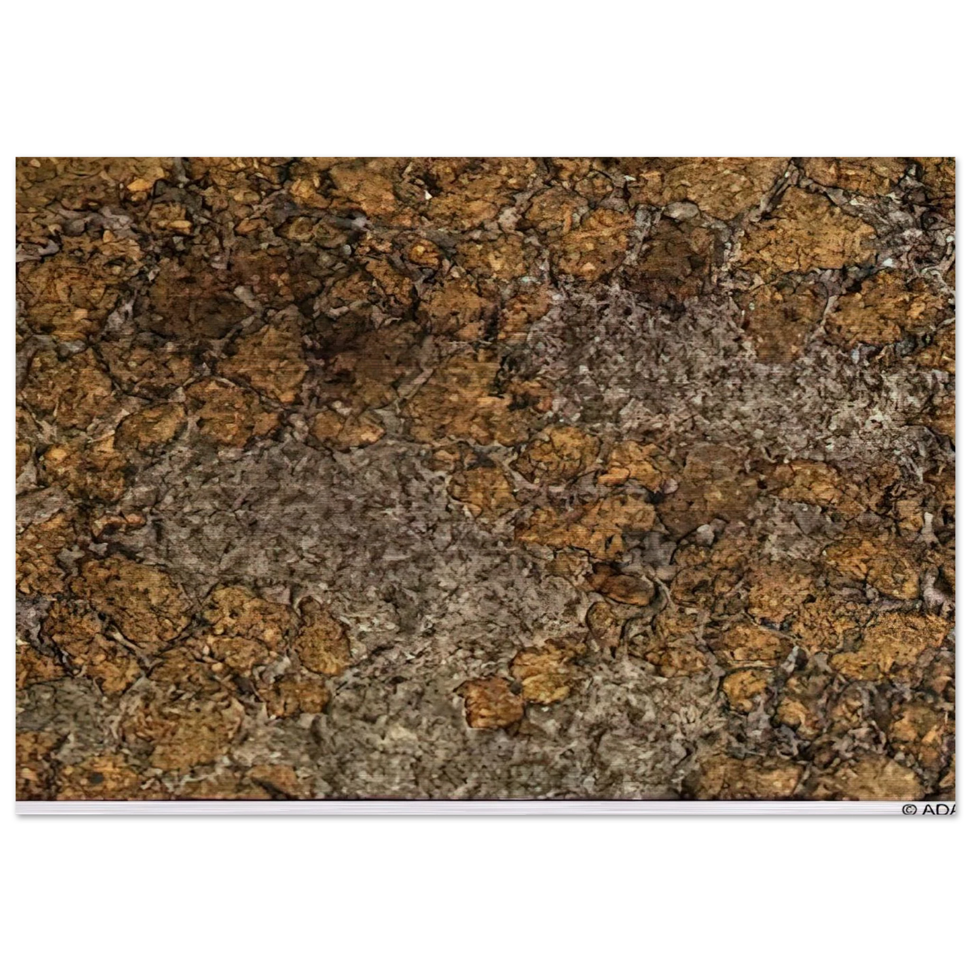 298cd8a0-8d8c-4e1d-bd38-768c363ad568