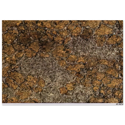 298cd8a0-8d8c-4e1d-bd38-768c363ad568