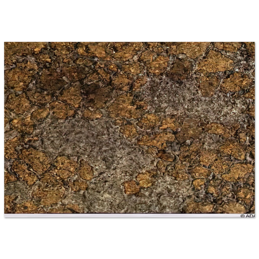 298cd8a0-8d8c-4e1d-bd38-768c363ad568