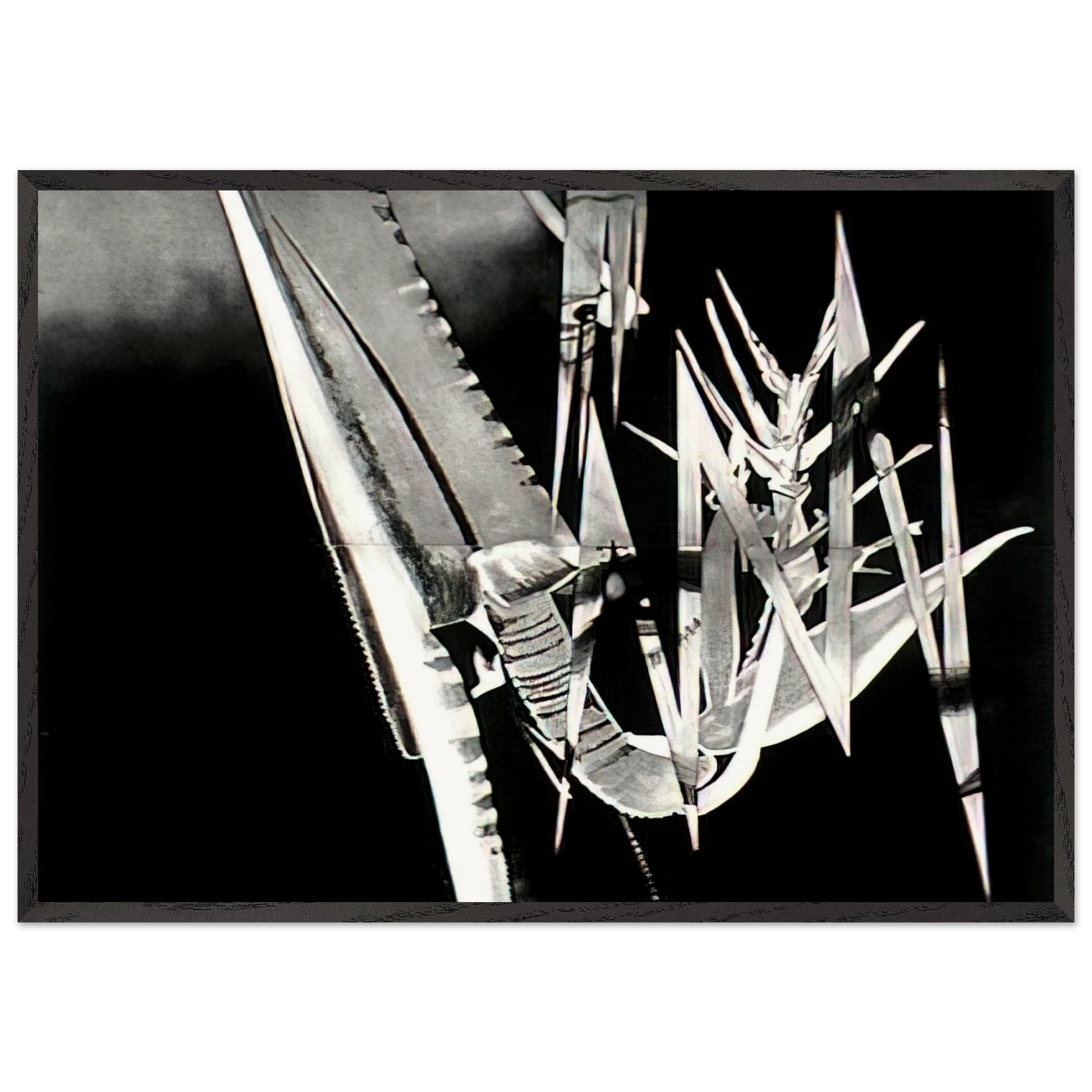 The Prickly Dark - James Rosenquist Framed Art Print – Black Wooden Frame - Default Title - -Framed Art Print