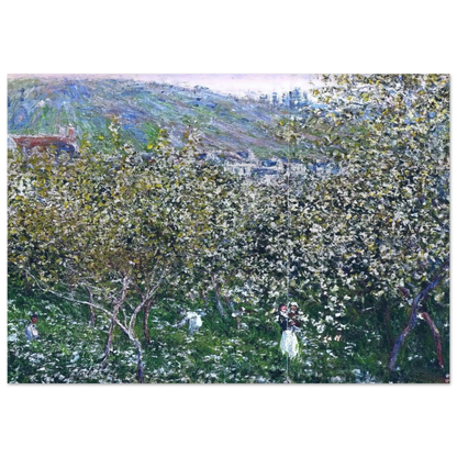 Vetheuil, Flowering Plum Trees - claude monet Brushed Aluminum Print - 70x100 cm / 28x40 inches | claude monet Aluminum Print | claude monet Prints