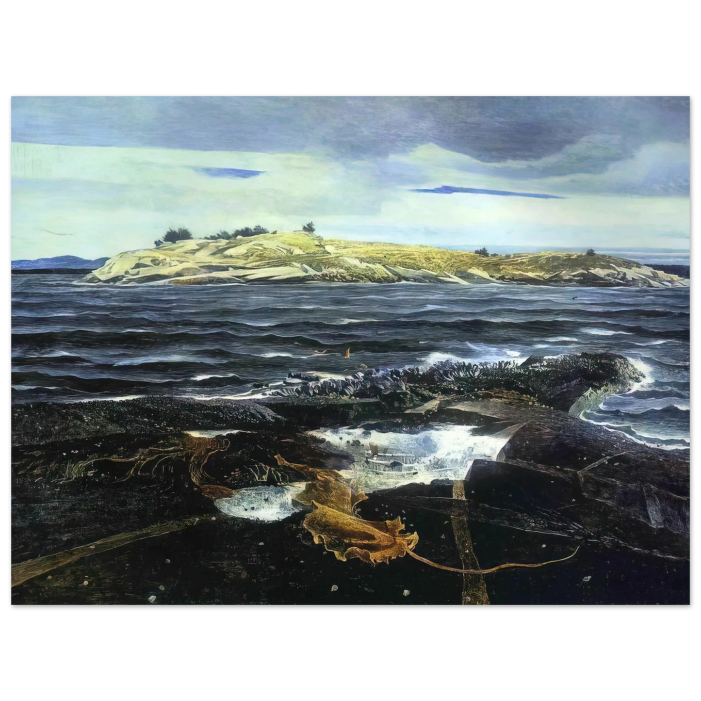 Andrew Wyeth - LITTLE CALDWELLS ISLAND Wall Art - 21x29.7 cm / 8x12" - Fine Art Poster - -