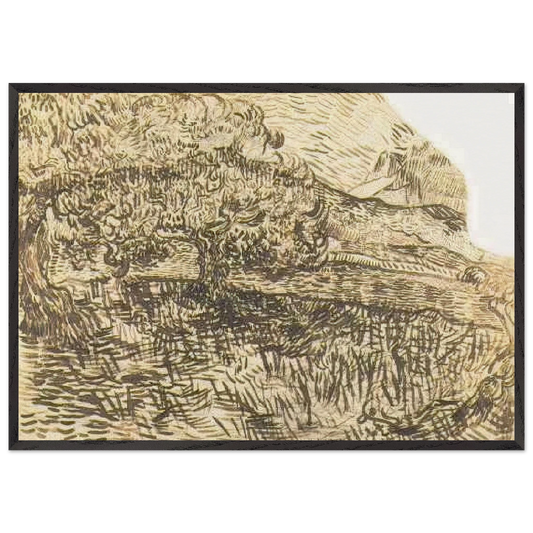 Olive Trees in a Mountain Landscape - Vincent van Gogh 70x100 cm / 28x40 inches Framed Art Print – Black Wooden Frame