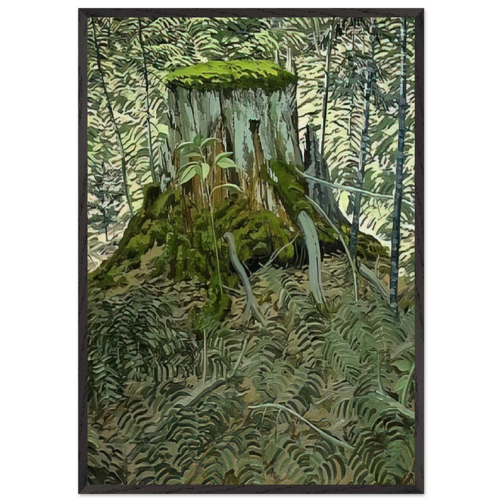 Stump and Ferns - Contemporary Realism - Neil Welliver Framed Art Print – Black Wooden Frame - Default Title - -Framed Art Print