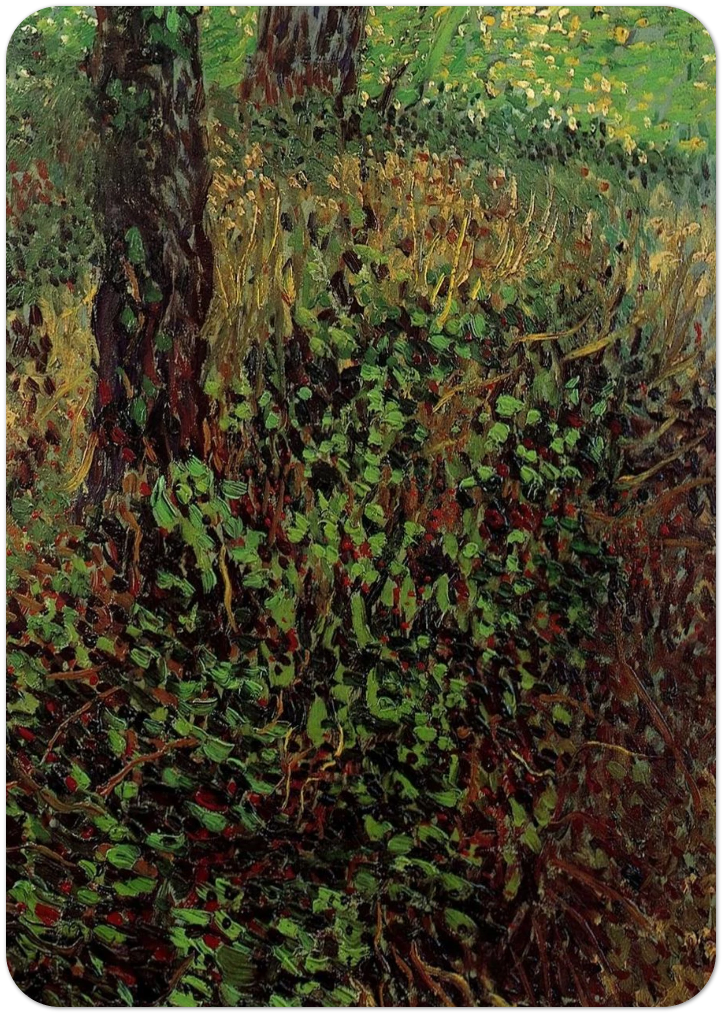 2b9e64d1-2814-43aa-bac9-d77afa23ab59