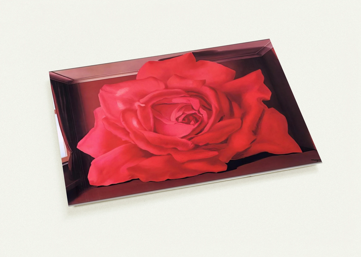 2c5419b3-726f-4054-89c0-c3ae7123fbae