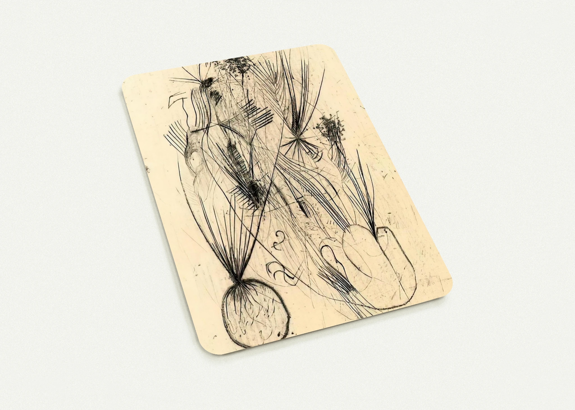 2c6d70c5-7a85-4681-a1fe-9c48226067c4