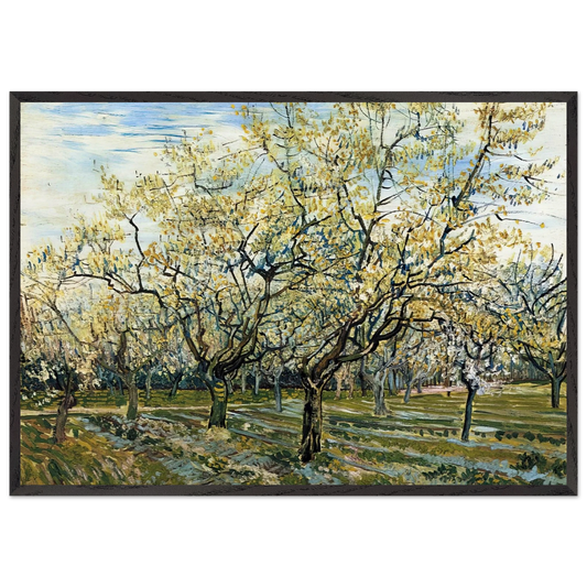 Orchard with Blossoming Plum Trees - Vincent van Gogh Framed Art Print – Black Wooden Frame - Default Title - -Framed Art Print
