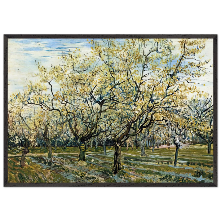 Orchard with Blossoming Plum Trees - Vincent van Gogh 70x100 cm / 28x40 inches Framed Art Print – Black Wooden Frame