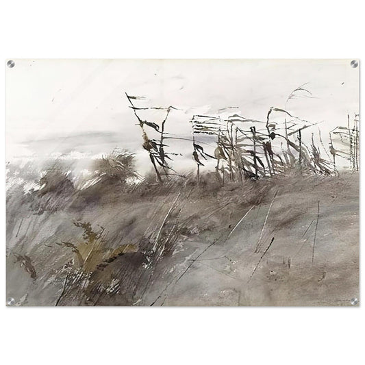 NOVEMBER FIRST 1950 - Andrew Wyeth Acrylic Print - 70x100 cm / 28x40″ inches