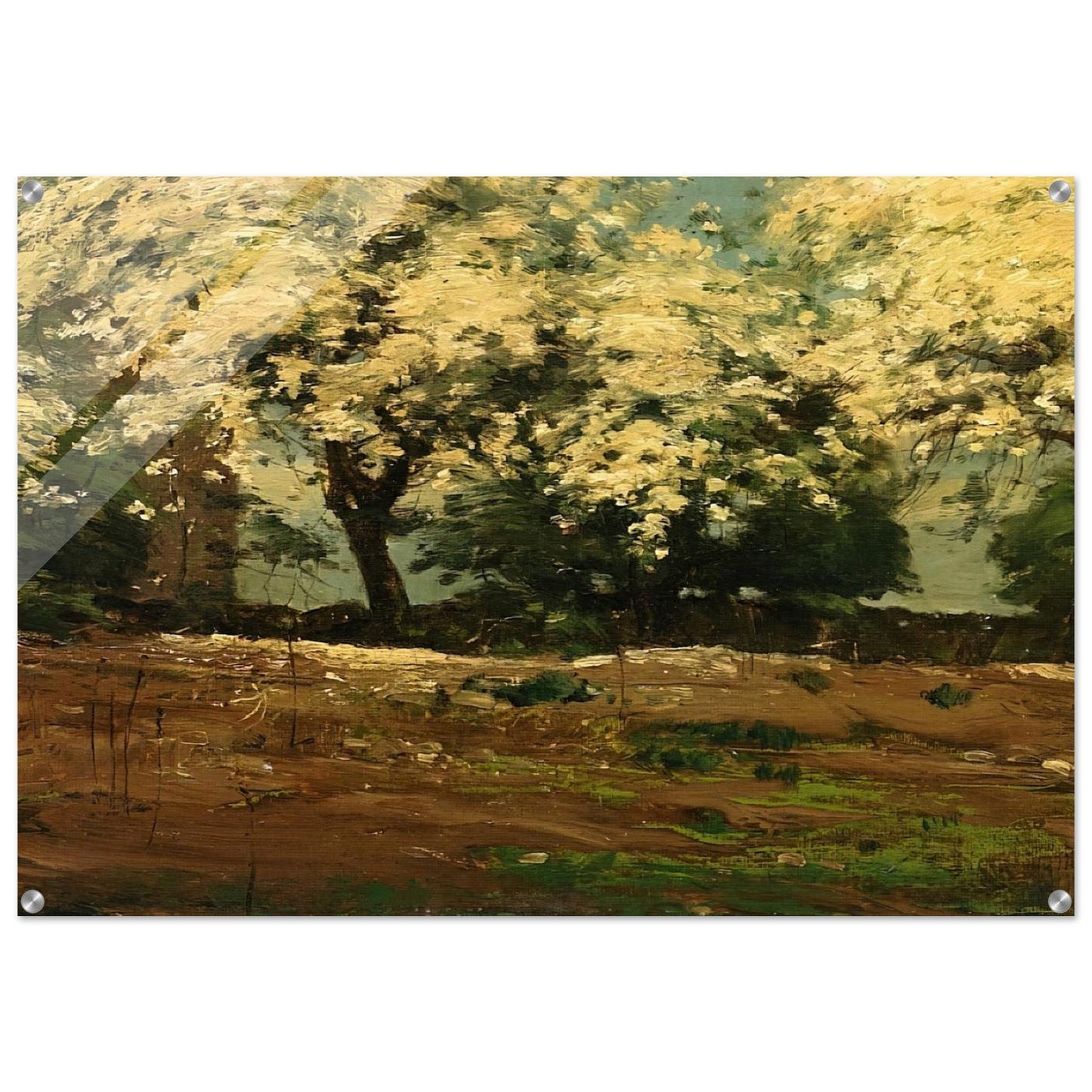 Blossoms - Childe Hassam Acrylic Print - 70x100 cm / 28x40″ inches