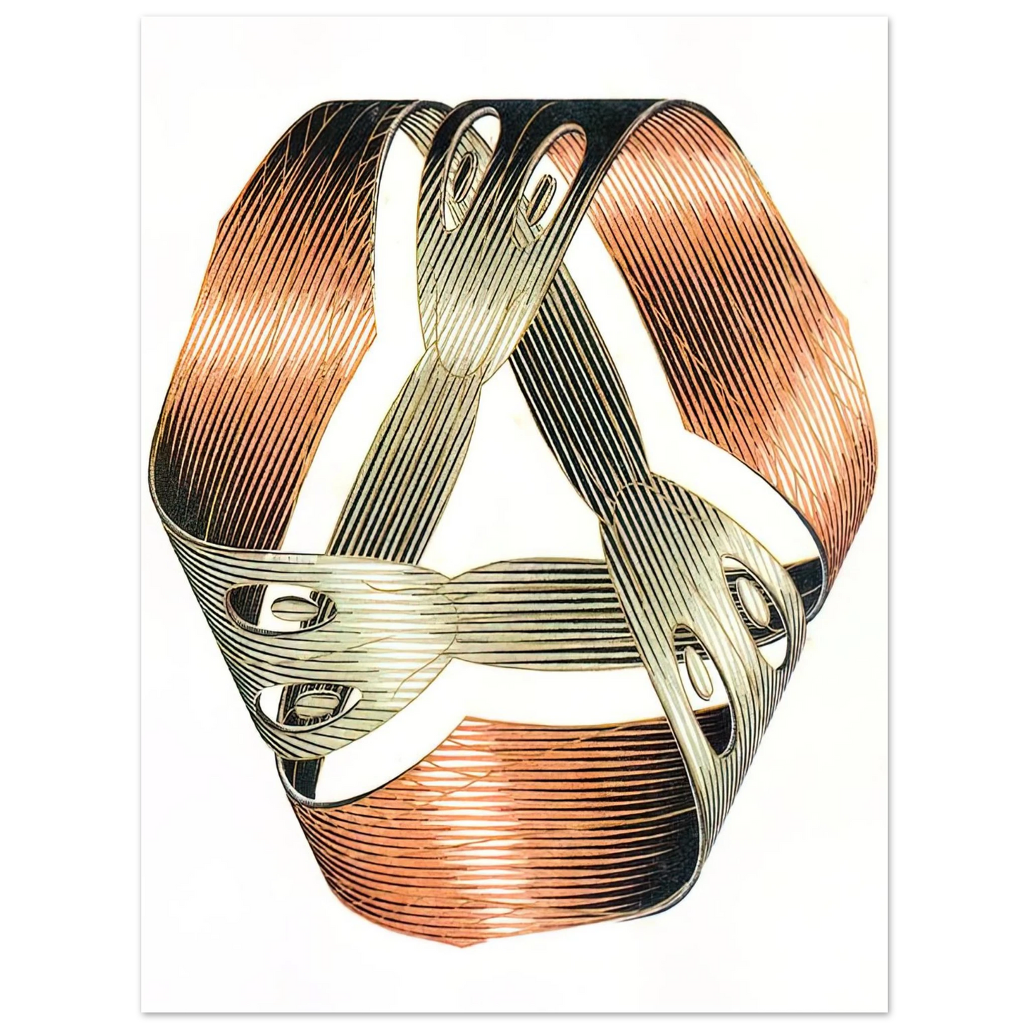 MC Escher - MOEBIUS STRIP I Wall Art - 21x29.7 cm / 8x12" - Premium Wooden Framed Poster With Fine Art Paper - White frame