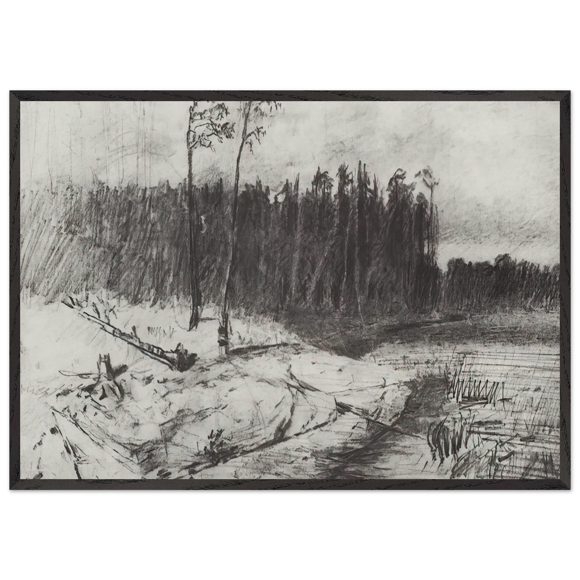 Forest near the water - Arkhyp Kuindzhi Framed Art Print – Black Wooden Frame - Default Title - -Framed Art Print