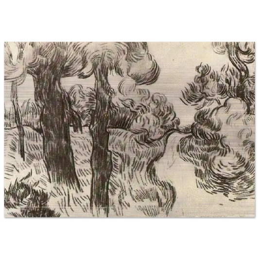 Path between Pine Trees - Vincent van Gogh Brushed Aluminum Print - 70x100 cm / 28x40 inches | Vincent van Gogh Aluminum Print | Vincent van Gogh Prints