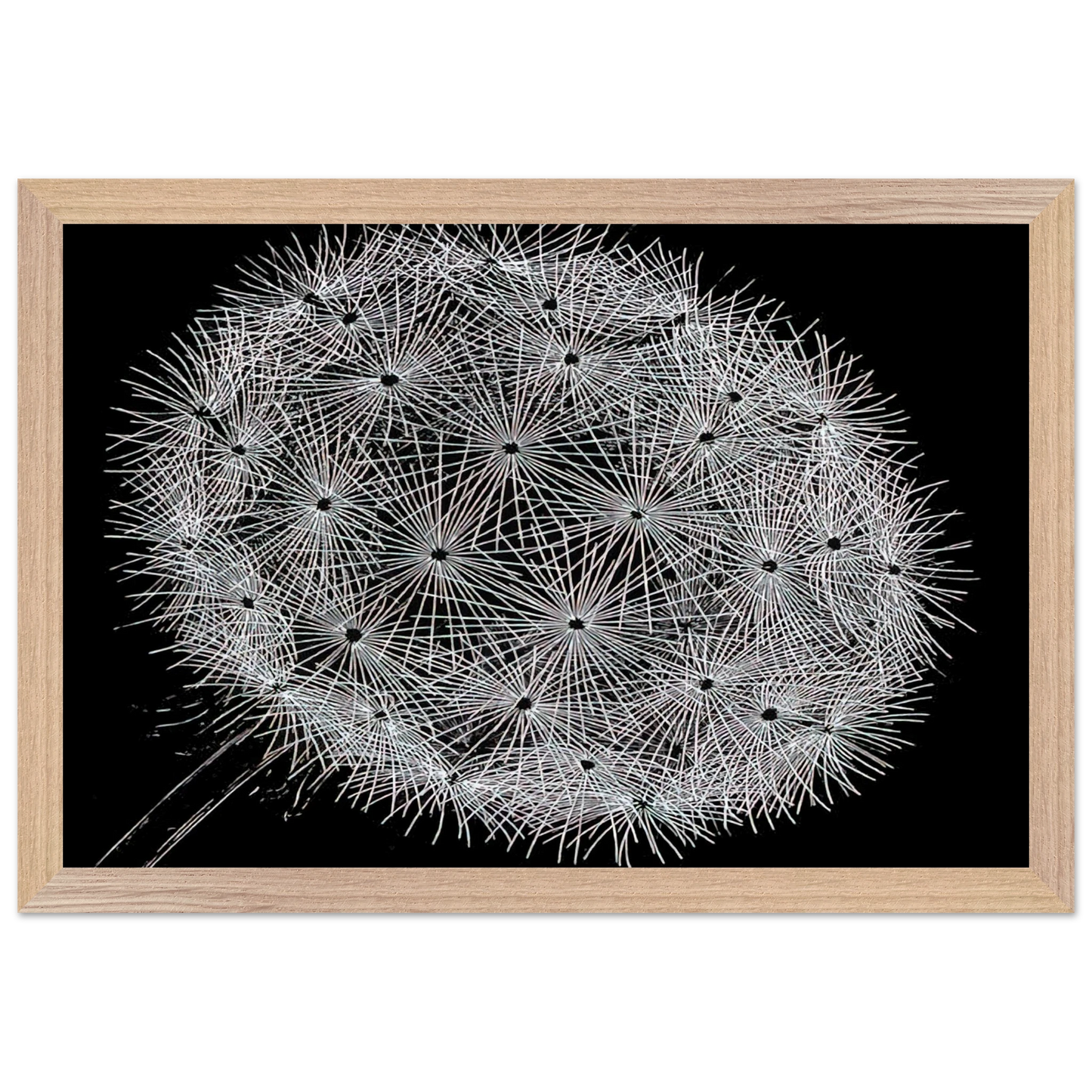 MC Escher - BLOWBALL II Wall Art - 60x80 cm / 24x32 inches - Fine Art Poster - -